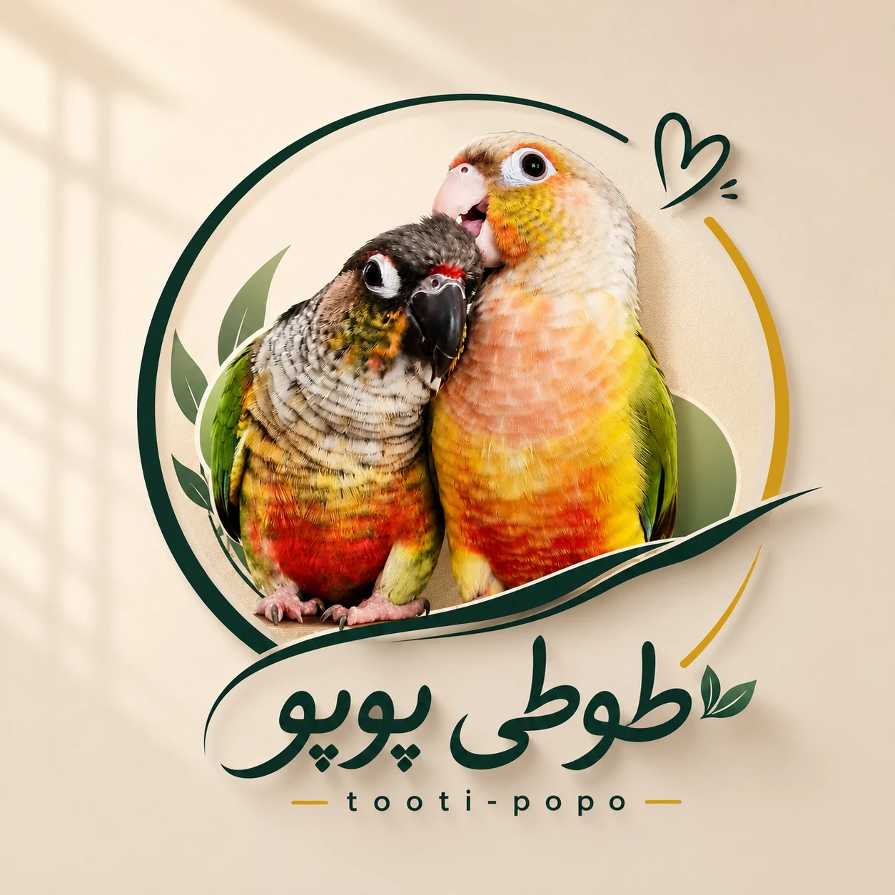 طوطی پوپو tooti popo